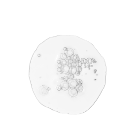 The Ordinary Balancing & Clarifying Serum